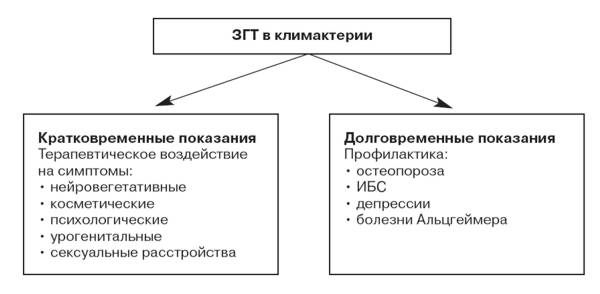 Схема згт для мтф